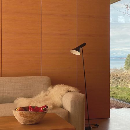 Haus Am Felsen, Ferien In Vorarlberger Architektur Apartment Bregenz Ngoại thất bức ảnh